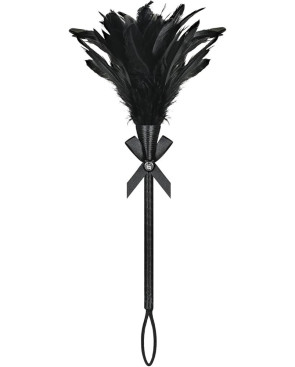 Plumeau noir