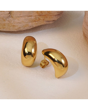 Boucle d'oreille Acier inoxydable