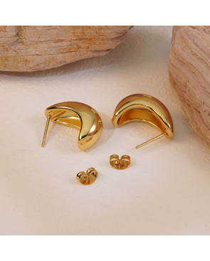 Boucle d'oreille Acier inoxydable